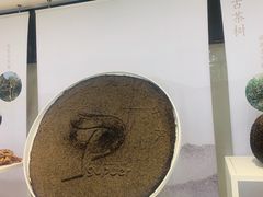 -中国茶叶博物馆(双峰馆区)