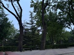 -方庄体育公园