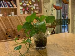 -阿sir咖啡(陶谷新村店)