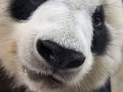 -海南热带野生动植物园