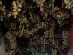 -杭州乐园