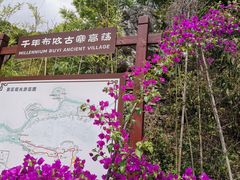 -高荡千年布依古寨旅游景区