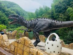 -将军关探险漂流