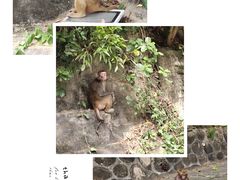 -鹿回头风景区