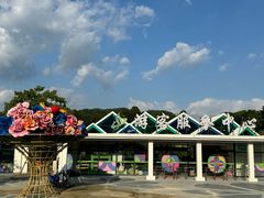 -东南花都花博园