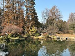 -杭州植物园