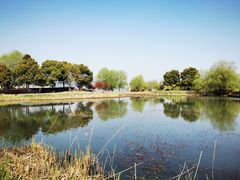 -长兴太湖图影湿地文化园