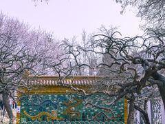 -桃花堤公园