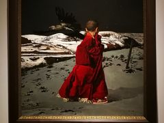 -星云文教馆