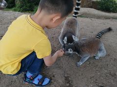 -无锡动物园·太湖欢乐园