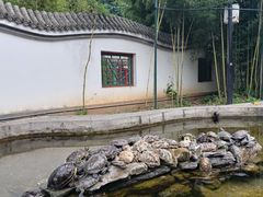 -红螺寺