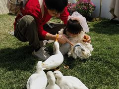 -HERRE·FARM 赫尔露营农场·团建聚会包场