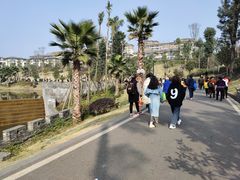 -枫香湖儿童公园