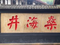 -燊海井
