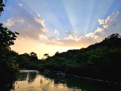 -花溪公园