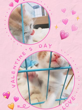 可是怎么办呢?那是你的家!