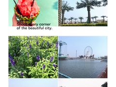 -秦皇岛乐岛海洋王国