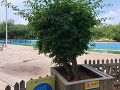 -晋爵会游泳馆(海湾公园店)