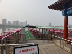 -莲花池公园