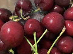 -AEON永旺(东方宝泰店)