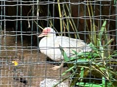 -柴米油盐(土菜院子店)