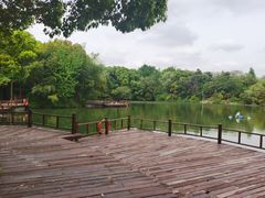 -新洲生态园
