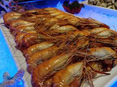 -科尔海悦酒店·柏顿花园餐厅(清河东路店)