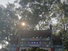 -北京国子监胡同