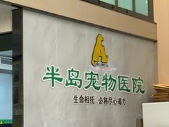-半岛宠物医院24小时(科华中路店)