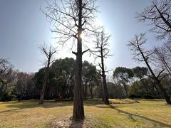 -宝界山林公园