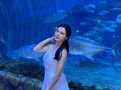 -华夏文旅西安度假区