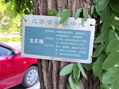 -南京钟山宾馆(江苏省会议中心)