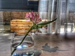 -boundaries籬苑(瑞光创意工厂-贰号院店)