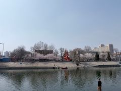 -桃花堤公园