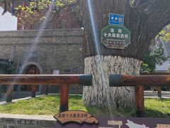 -洛阳周公庙博物馆