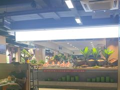 -新艺自助美食城(中山路店)