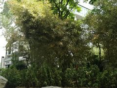 -北京西国贸大酒店