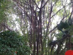 -船政文化景区-罗星塔公园