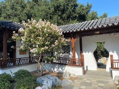-汉庭顿图书馆