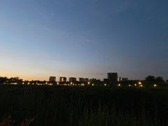 -大兴滨河森林公园