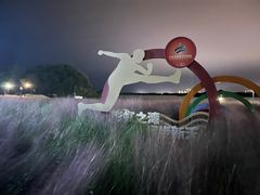 -贡湖湾湿地公园
