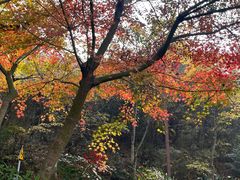 -东钱湖旅游度假区