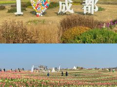 -空港花田景区
