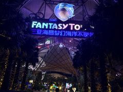 -三亚海昌梦幻海洋不夜城