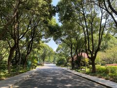 -昆山城市生态森林公园