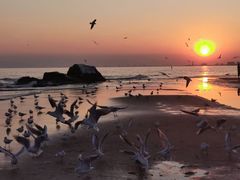 -老虎石海上公园