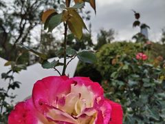 -人民公园(罗湖区)