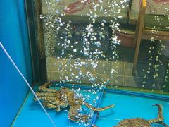 -鲜味食族水产·海鲜餐厅