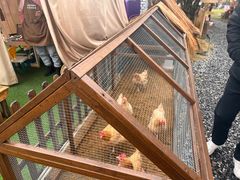 -HERRE·FARM 赫尔露营农场·团建聚会包场