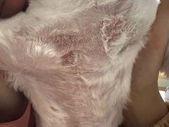 -PETKIT小佩宠物(古北店)